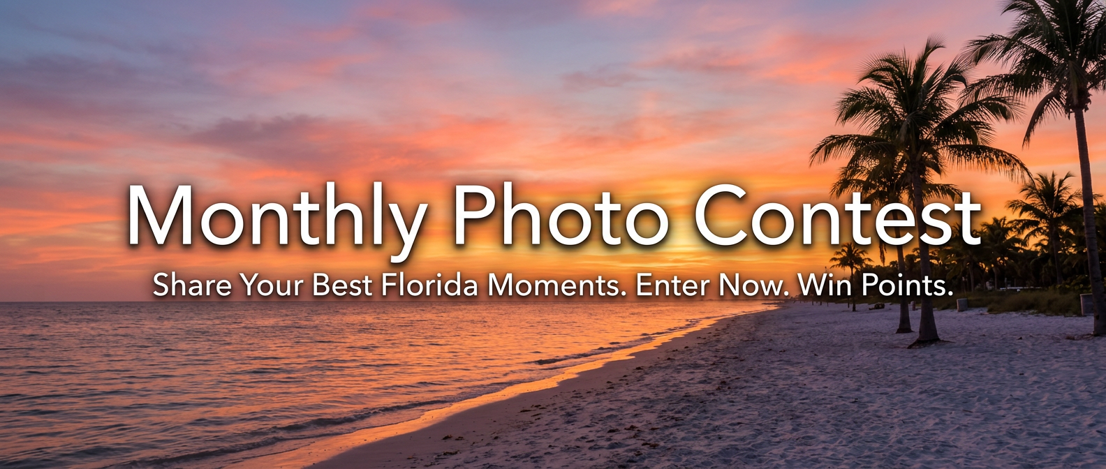 Monthly Photo Contest 🏅